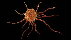Cancer cell, computer illustration — Stock Photo