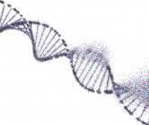 DNA damage, conceptual illustration. — Stock Photo