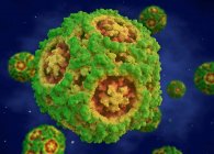 Каніновий парвовірус, ілюстрація. Canine Parvovirus включає в себе найменші відомі віруси і деякі з найбільш стійких до навколишнього середовища . — стокове фото