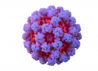 Норовирус, иллюстрация. Норовирус или 