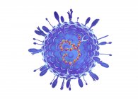 Virus della parainfluenza umana, illustrazione al computer — Foto stock