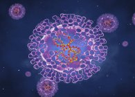 Virus de la viruela, ilustración por ordenador - foto de stock