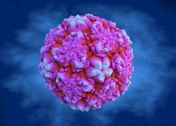 Rhinovirus, illustration. Rhinoviruses infects the upper respiratory tract and are the cause of the common cold, ear infections, sore throats and other sinus infections — Stock Photo