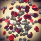 Ilustración por ordenador de las partículas de coronavirus en el torrente sanguíneo - foto de stock