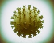 Partícula del coronavirus, ilustración por ordenador - foto de stock