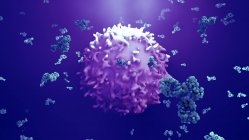 Антитіла нападають на ракові клітини. — стокове фото