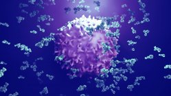 Anticuerpos atacando células cancerosas, ilustración por computadora - foto de stock