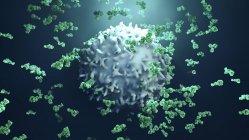 Anticuerpos atacando células cancerosas, ilustración por computadora - foto de stock