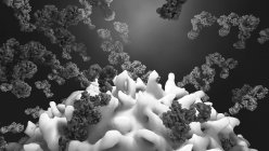 Antikörper greifen Krebszelle an, Computerillustration — Stockfoto