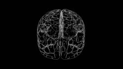 Человеческий мозг, компьютерная иллюстрация — стоковое фото