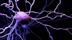 Нервова комірка, комп'ютерна ілюстрація — стокове фото