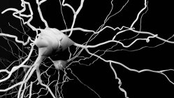 Célula nerviosa, ilustración por computadora - foto de stock
