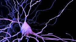 Nervenzelle, Computerillustration — Stockfoto