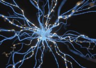 Нервные клетки, компьютерная иллюстрация — стоковое фото
