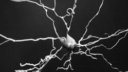 Célula nervosa, ilustração computacional — Fotografia de Stock
