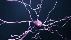 Cellule nerveuse, illustration d'ordinateur — Photo de stock
