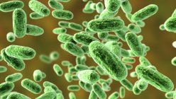 Ковтання бактерій від кашлю, комп'ютерна ілюстрація — стокове фото