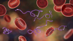 Ilustração computadorizada de bactérias Borrelia no sangue — Fotografia de Stock