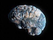 Планета мозга, концептуальная компьютерная иллюстрация — стоковое фото