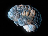 Планета мозга, концептуальная компьютерная иллюстрация — стоковое фото