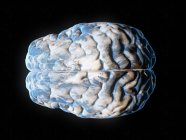 Планета мозку, концептуальна комп'ютерна ілюстрація — стокове фото