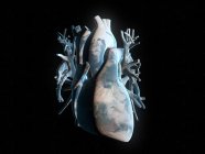 Planeta del corazón, ilustración conceptual por ordenador - foto de stock