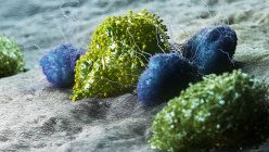 Células cancerosas atacadas por leucocitos, ilustración por computadora - foto de stock