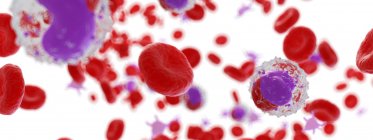 Людські кров'яні клітини, комп'ютерна ілюстрація — стокове фото