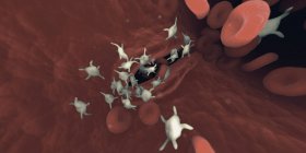 Человеческие тромбоциты, компьютерная иллюстрация — стоковое фото
