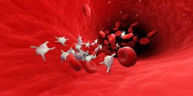 Menschliche Blutplättchen, Computerillustration — Stockfoto