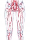 Sistema vascular feminino saudável, ilustração computacional — Fotografia de Stock