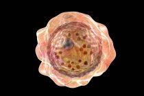 Balamuthia mandrillaris amoeba, illustrazione per computer — Foto stock