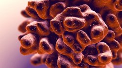 Клетка, зараженная вирусом, вызывающим запрограммированную клеточную смерть, 3D-иллюстрация — стоковое фото