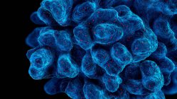 Células infectadas con partículas de virus que causan una muerte celular programada, ilustración de 3d. - foto de stock