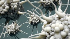 Dendritic cells, illustration. Dendritic cells are a component of the body's immune system. The cell gets it name from the long membrane extensions off the cell body, which look like the dendrites of a nerve cell — Stock Photo