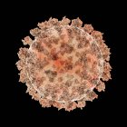 Частица коронавируса, компьютерная иллюстрация. Различные штаммы коронавируса ответственны за такие заболевания, как простуда, гастроэнтерит и атипичная пневмония (тяжелый острый респираторный синдром) — стоковое фото