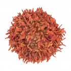 Cellules lymphocytaires B, illustration informatique — Photo de stock