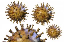 Компьютерная иллюстрация частиц вируса ветряной оспы, причины ветряной оспы и черепицы. Вирус Varicella zoster также известен как вирус герпеса человека 3-го типа (HHV-3
) — стоковое фото