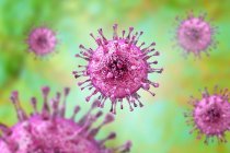 Human cytomegalovirus (HCMV), комп'ютерна ілюстрація. HCMV є членом родини герпесвірусів. — стокове фото