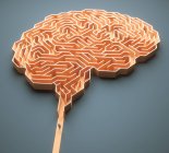 Людський мозок, концептуальна ілюстрація — стокове фото