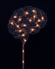 Cervello umano, illustrazione concettuale — Foto stock