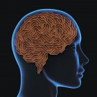 Cérebro humano, ilustração conceitual — Fotografia de Stock