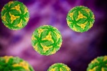 Японський вірус енцефаліту (JEV), комп'ютерна ілюстрація. JEV - це РНК (рибонуклеїнова кислота), вірус родини Флавівірьових. — стокове фото