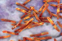 Bacterias de la tuberculosis. Ilustración por ordenador de la bacteria Mycobacterium tuberculosis, la bacteria Gram-positiva en forma de barra que causa la enfermedad tuberculosis - foto de stock