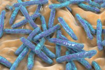Туберкульозні бактерії. Комп'ютерна ілюстрація бактерій мікобактерій туберкульозу, грампозитивних бактерій у формі стрижня, які спричиняють туберкульоз захворювання — стокове фото