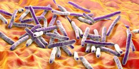 Bacterias de la tuberculosis. Ilustración por ordenador de la bacteria Mycobacterium tuberculosis, la bacteria Gram-positiva en forma de barra que causa la enfermedad tuberculosis - foto de stock