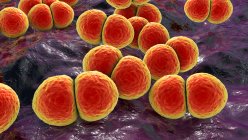 Bactérias Streptococcus pneumoniae (pneumococos), ilustração computacional — Fotografia de Stock