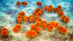 Streptococcus pneumoniae bacteria (neumococos), ilustración por ordenador - foto de stock