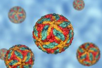 Частицы вируса энцефалита Сент-Луиса, компьютерная иллюстрация — стоковое фото