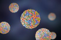 Частицы вируса Западного Нила, компьютерная иллюстрация. Известно, что вирус Западного Нила (WNV) вызывает энцефалит у людей . — стоковое фото